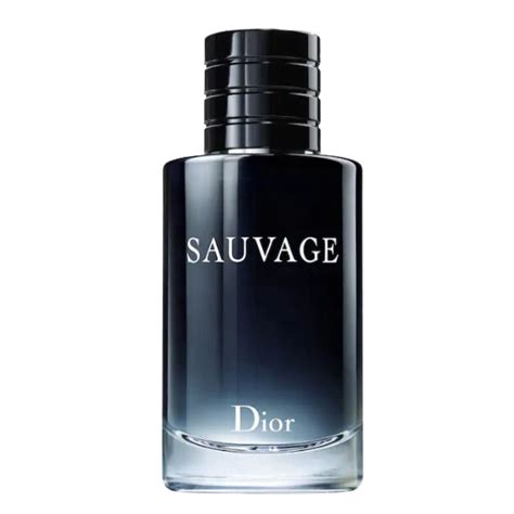 dior stand for|sauvage dior symbolism.